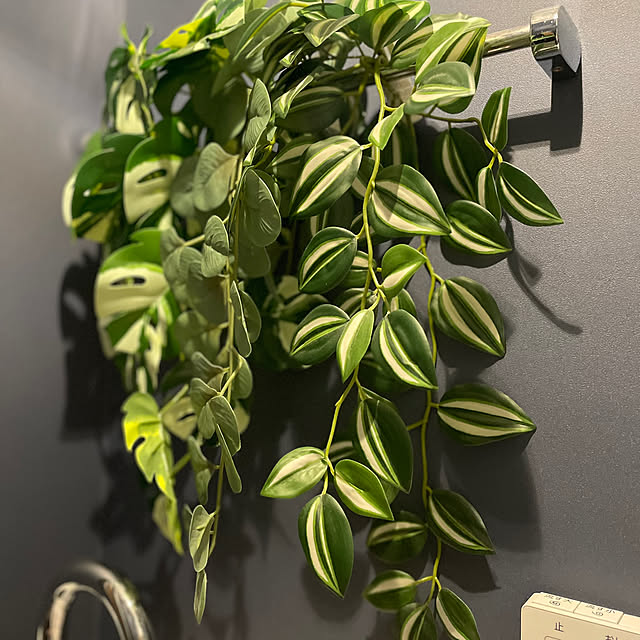 youmaxさんの部屋