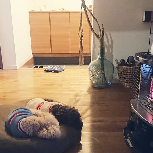 mococoさんの実例写真