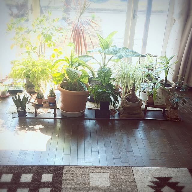 omichanさんの実例写真
