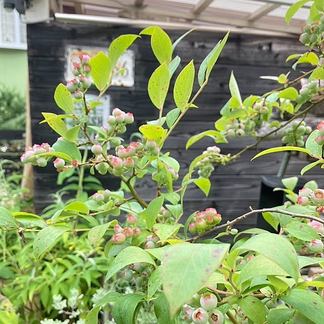 min_nimさんの部屋