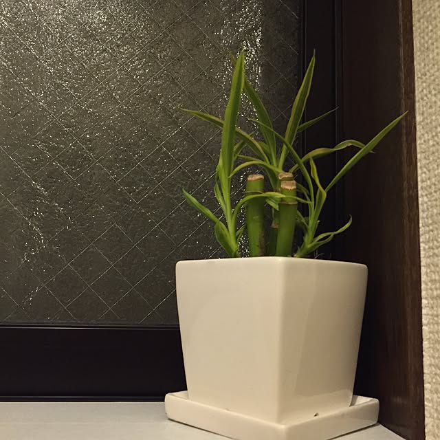 Lilyさんの実例写真