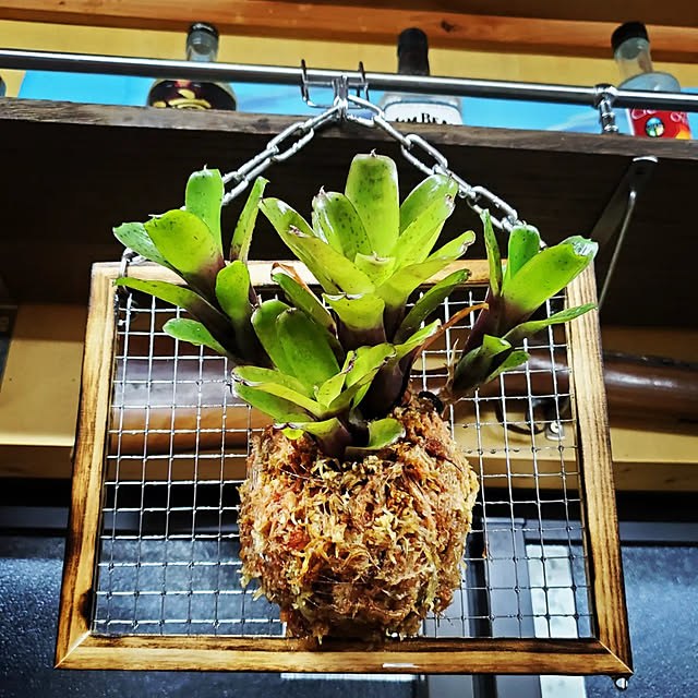 Daiさんの実例写真