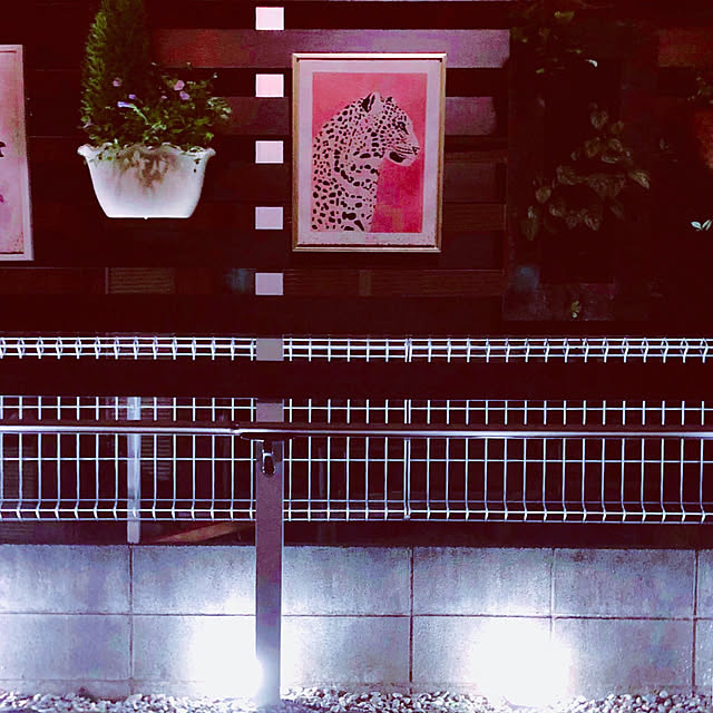 chacoさんの部屋