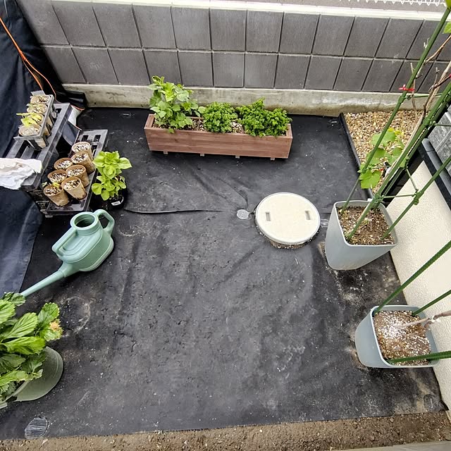 ayan-green.さんの部屋