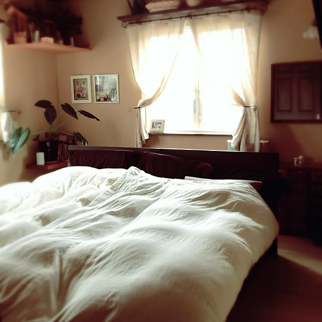 shio2772さんの実例写真
