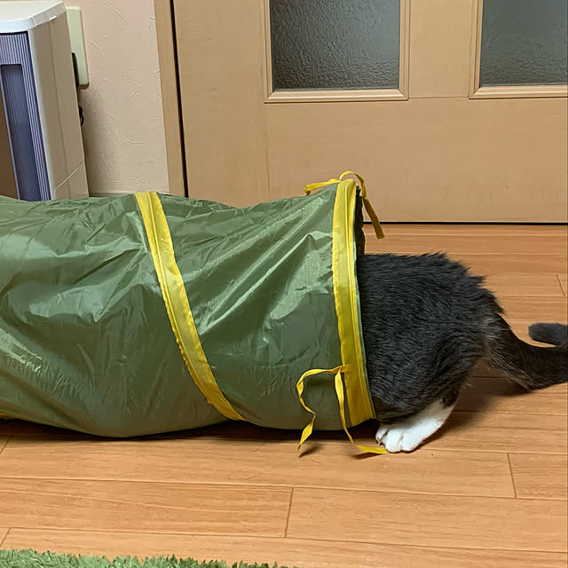 Machikoさんの実例写真