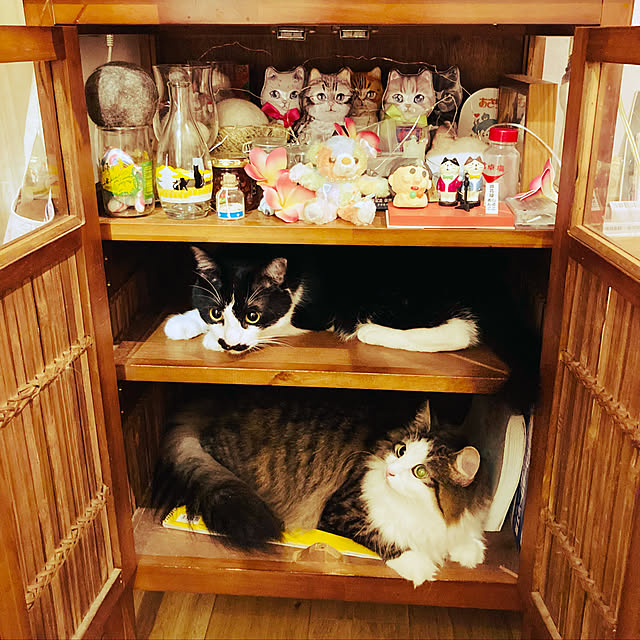 sakura_171220さんの実例写真