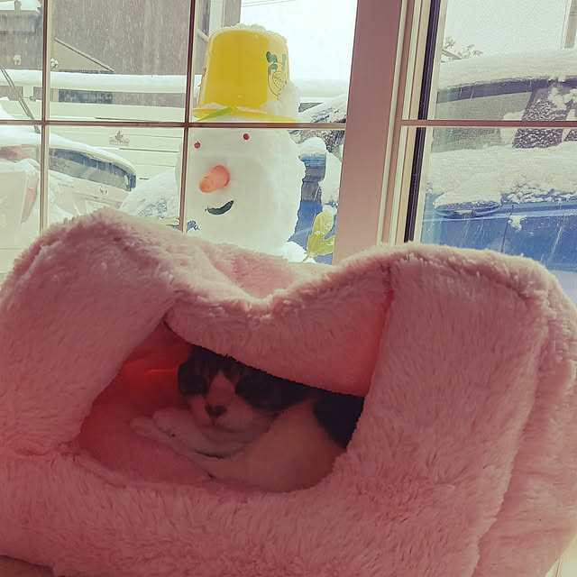 civicglさんの実例写真