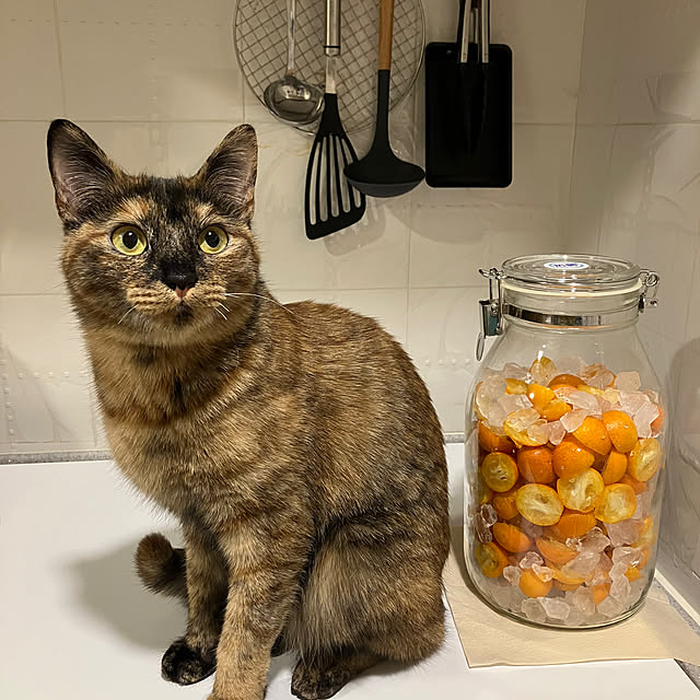 yachu.22さんの実例写真