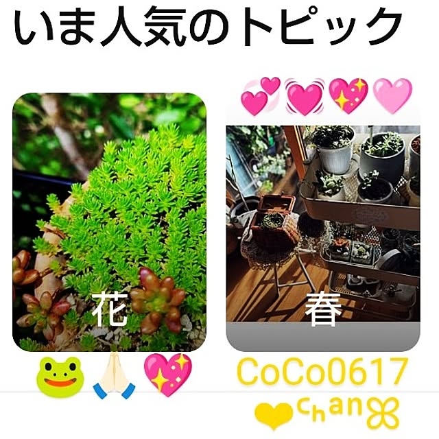 katさんの部屋