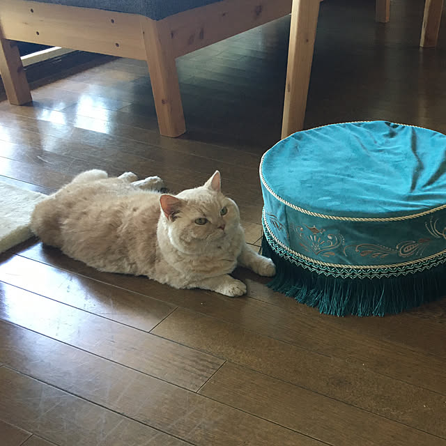 naokoさんの部屋