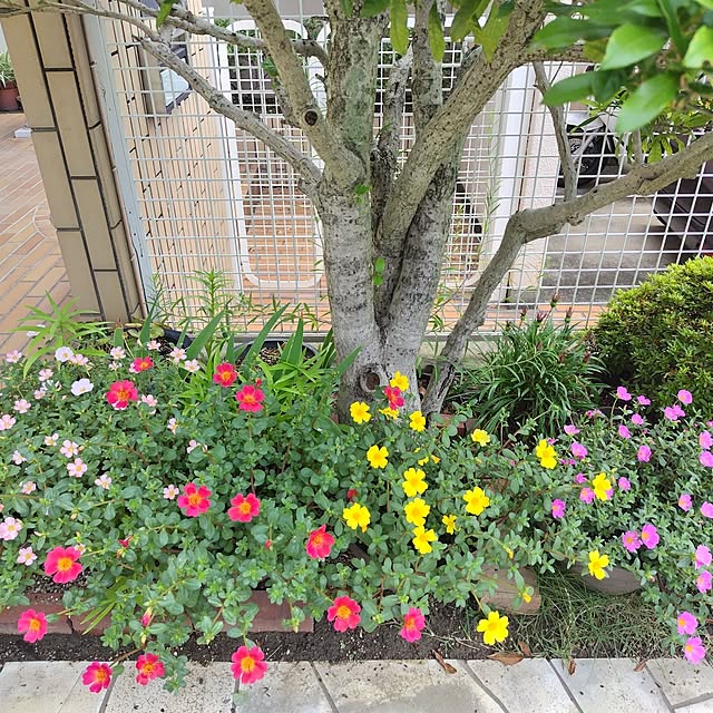 t1ma0honeyさんの部屋