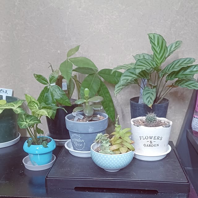 hiro.904さんの実例写真