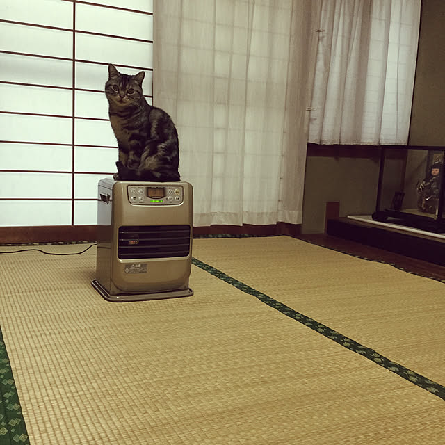 richanさんの実例写真