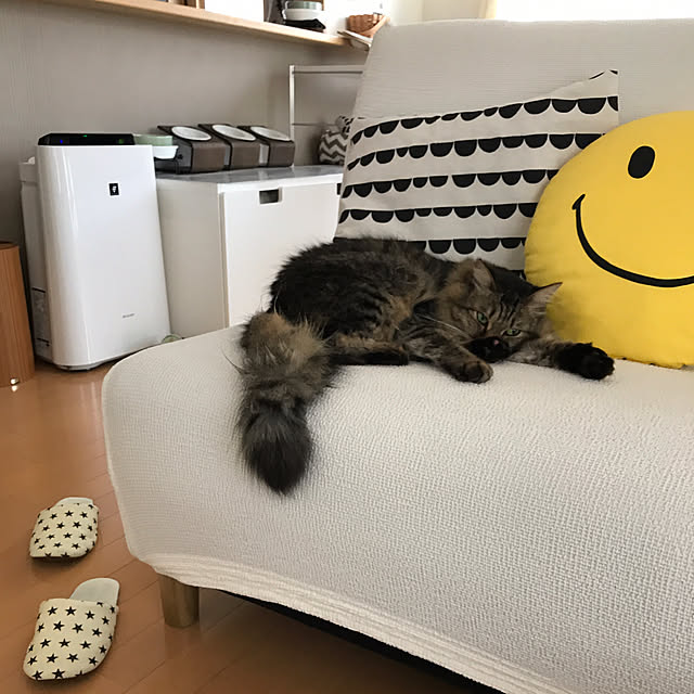 yuki0511さんの実例写真