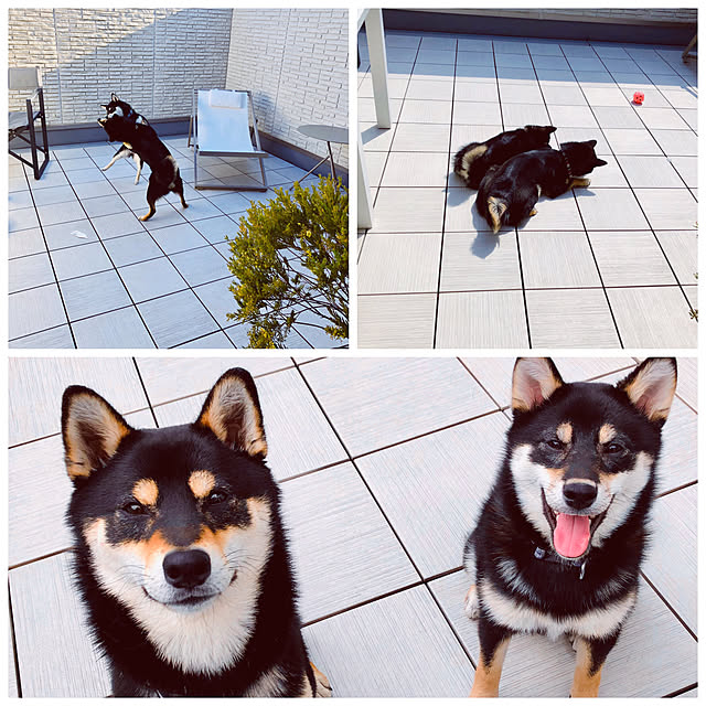 nuruiさんの実例写真