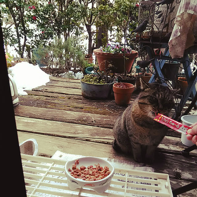showさんの実例写真