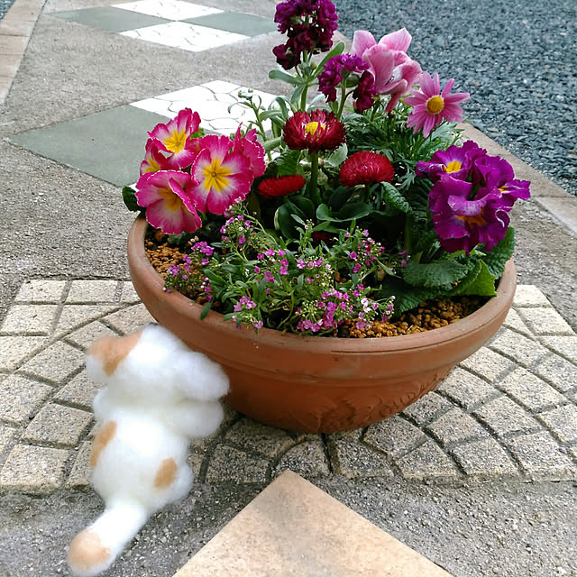 shoko0420さんの実例写真