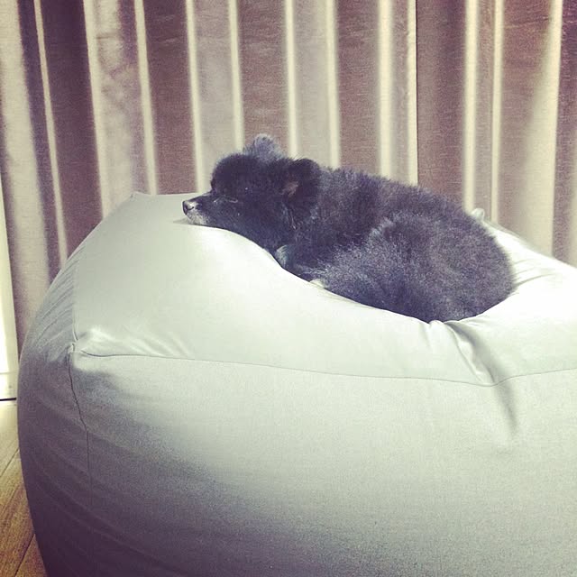 achikoさんの実例写真