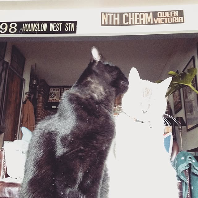 Naoki.さんの実例写真