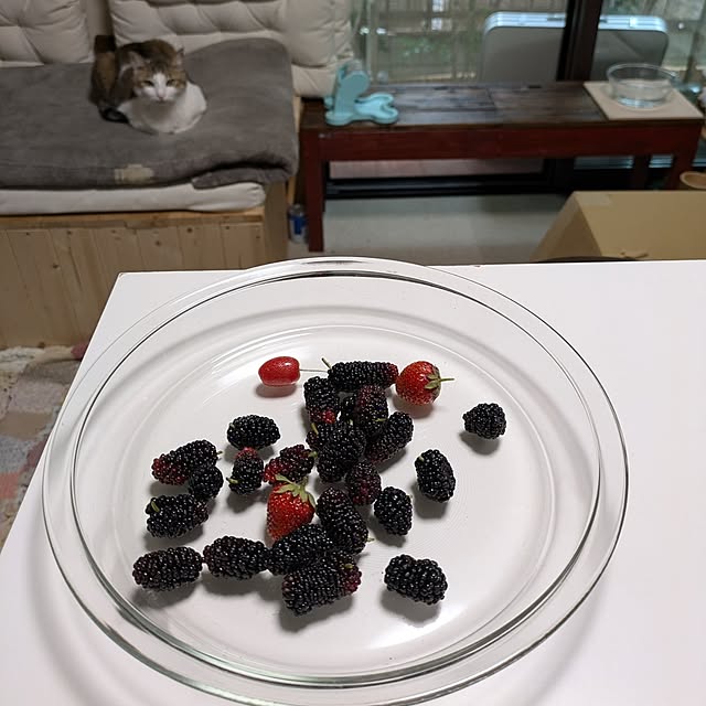 mori_6_12さんの実例写真