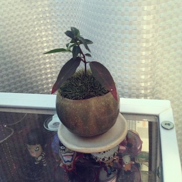 Yousukeさんの実例写真