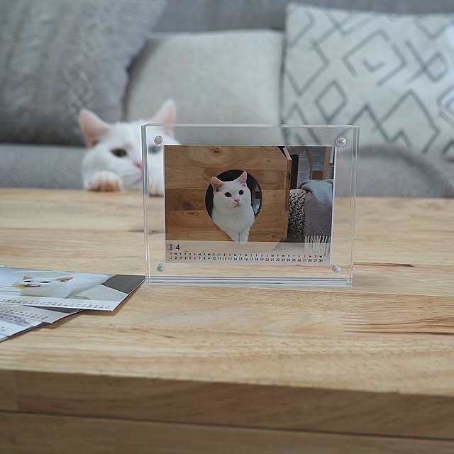 tomatoさんの実例写真