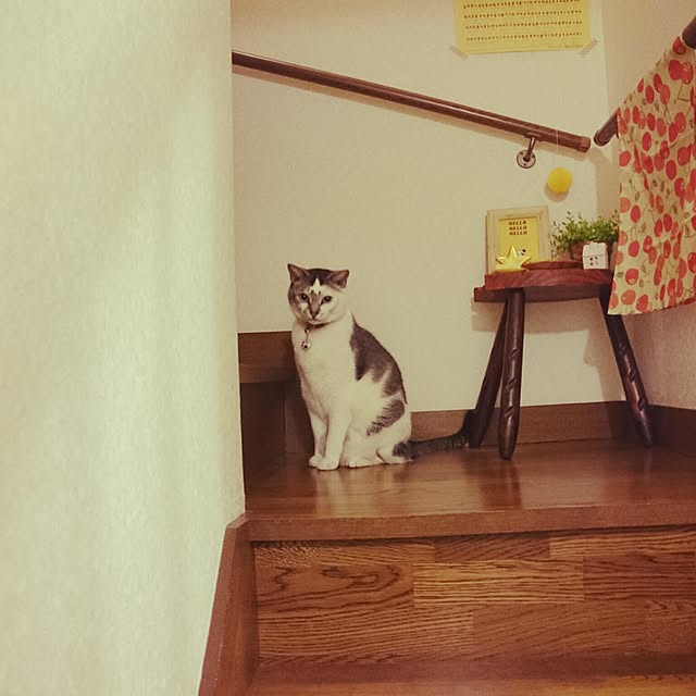furlaさんの実例写真