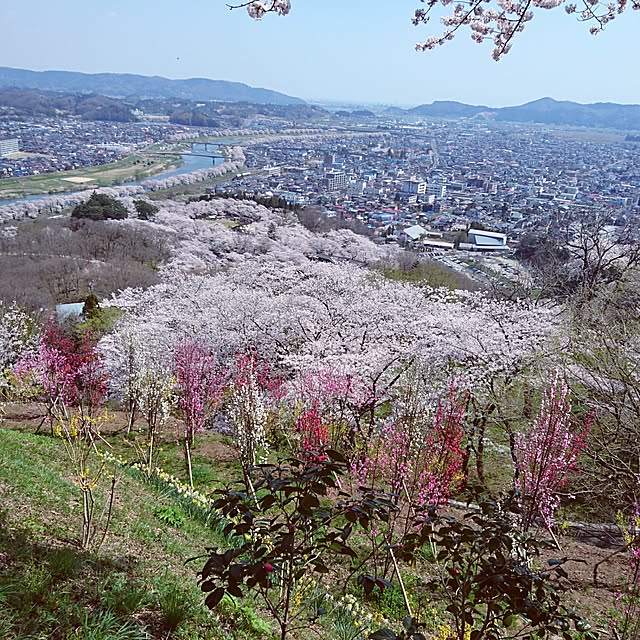 実例写真