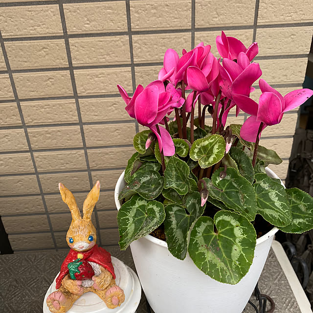YuuKoさんの実例写真