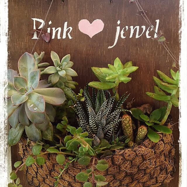 pinkさんの実例写真