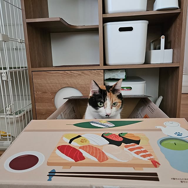 koyurizuさんの部屋