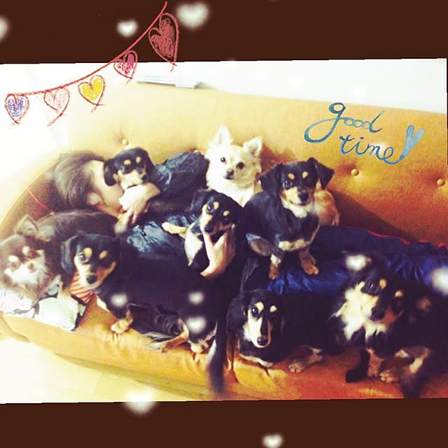 tomi329さんの実例写真