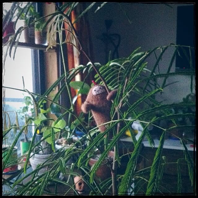 majoさんの実例写真