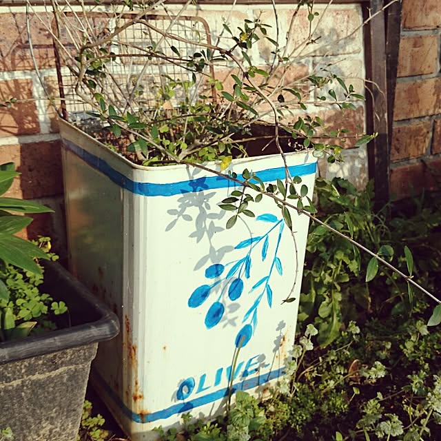 Granadillaさんの実例写真
