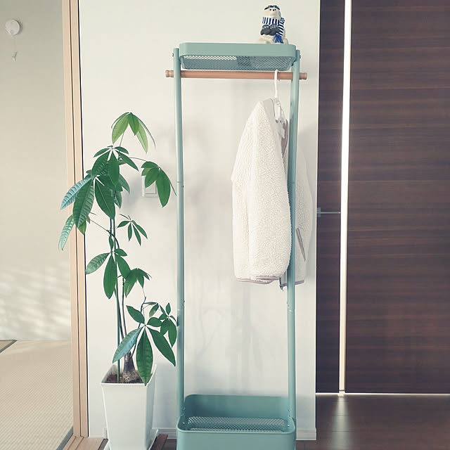 tan5さんの実例写真