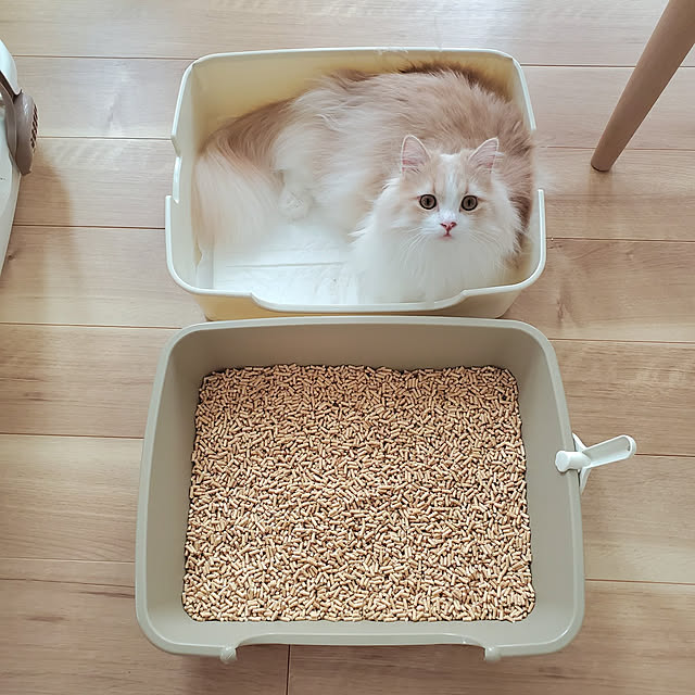 annyaさんの実例写真