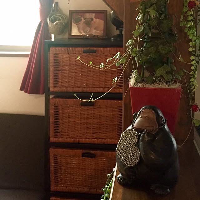 butachanさんの実例写真