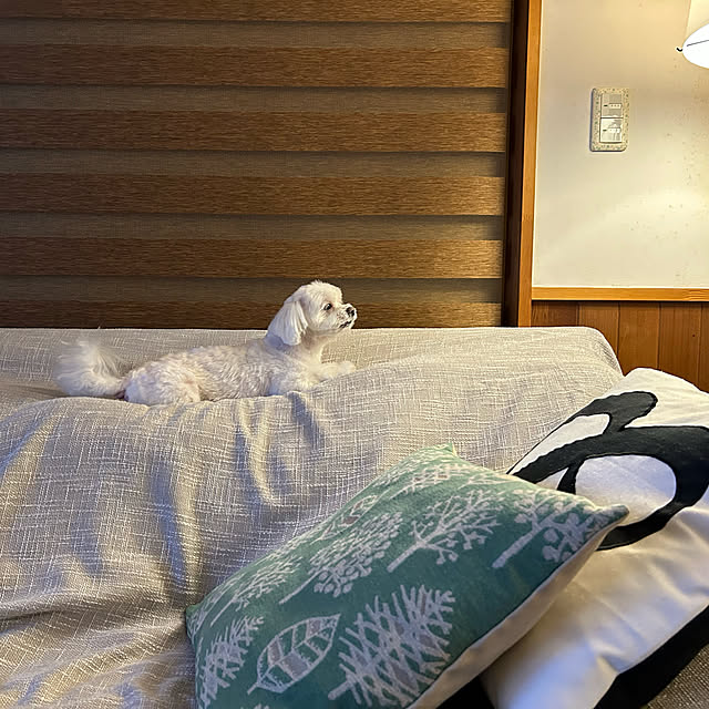 emaryさんの実例写真