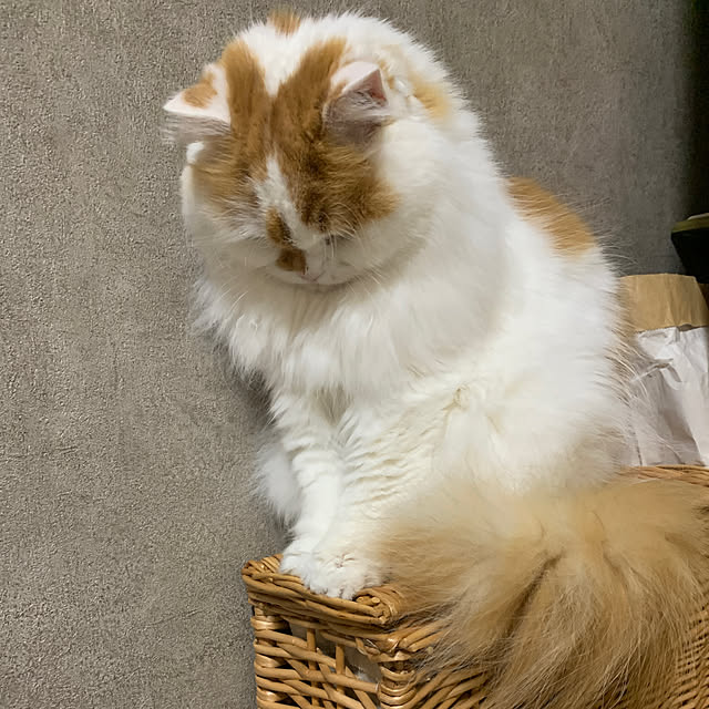 keiさんの実例写真
