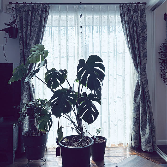 usagiさんの部屋