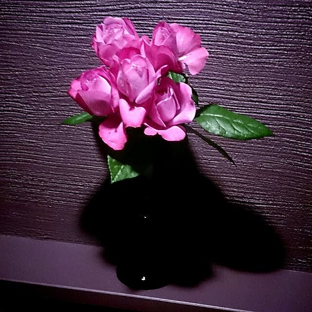 Gravityさんの実例写真