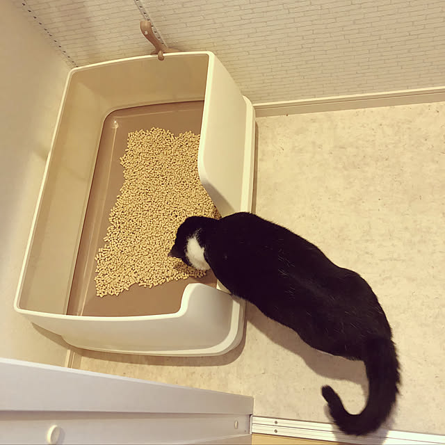 Evenさんの実例写真