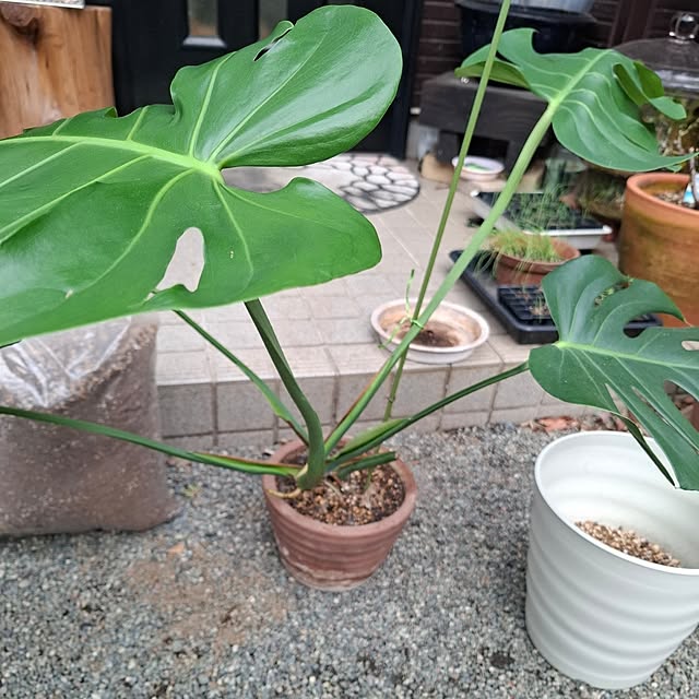 midoriさんの部屋