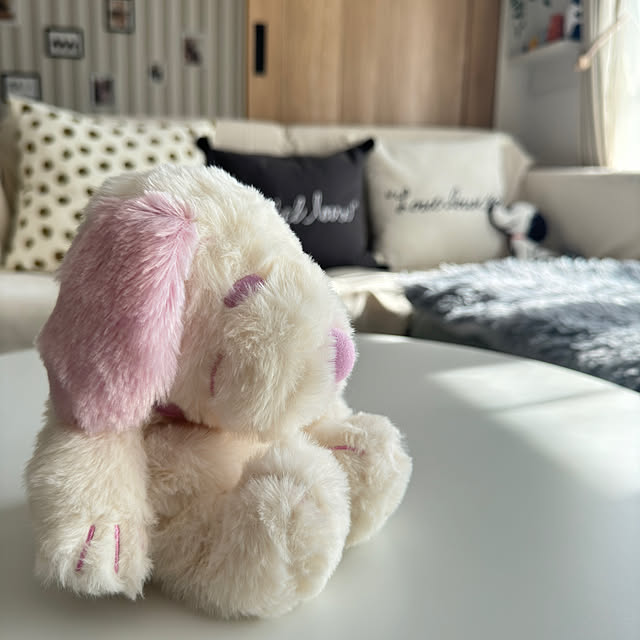 snoopyさんの部屋