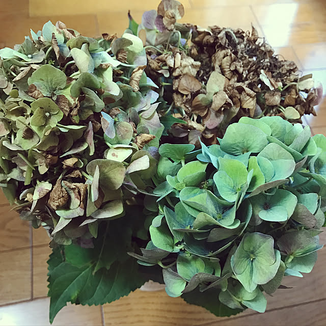 pakilaさんの実例写真