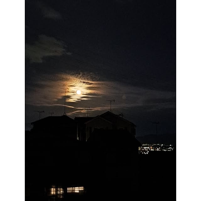 waniwaniさんの部屋