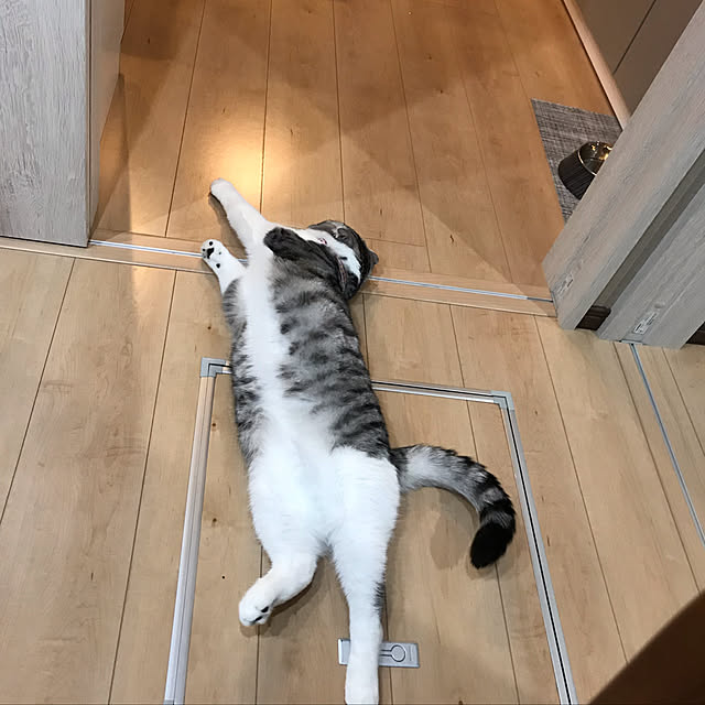 Dahliaさんの実例写真