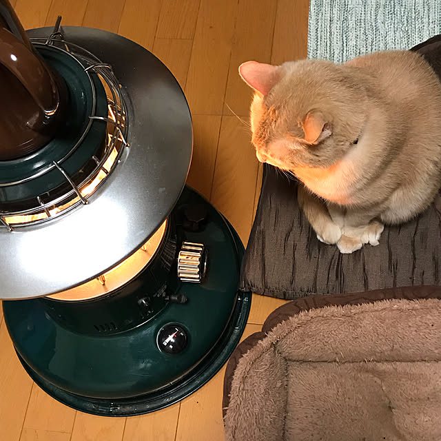 mikan161さんの実例写真