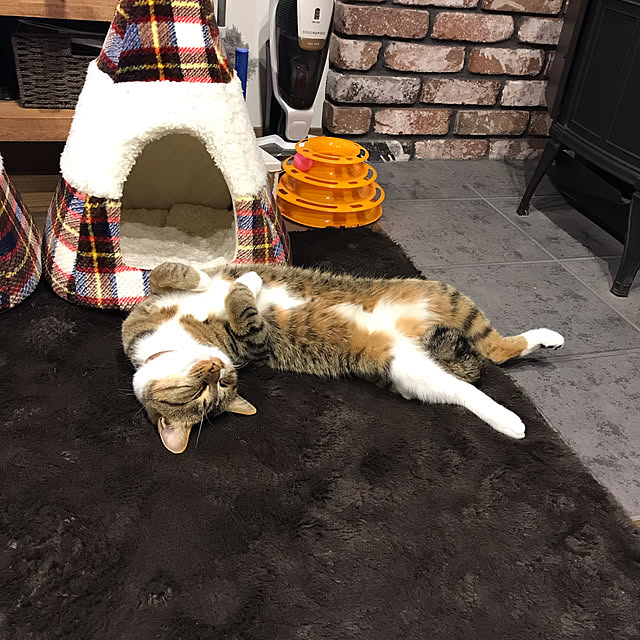 na-sanさんの実例写真